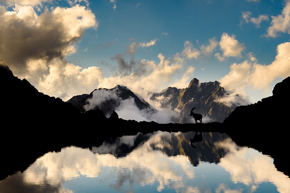 galleria/Ibex_9.jpg
