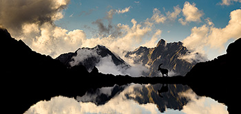 galleria/galthumbs/Ibex.jpg