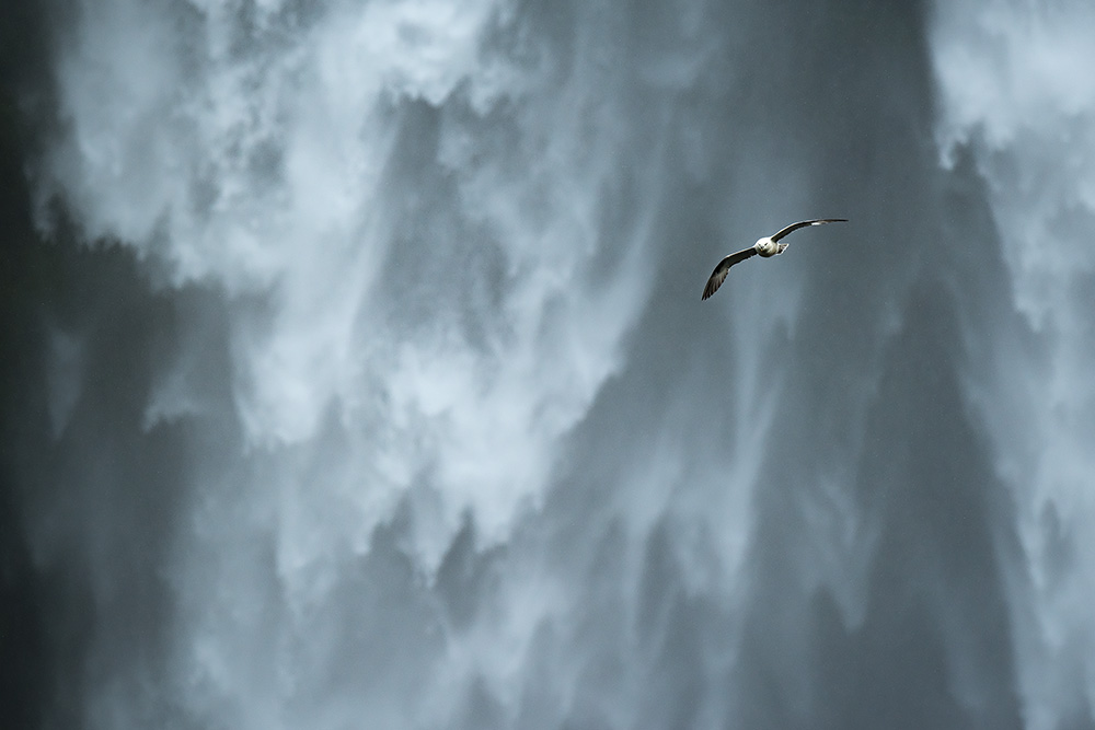 galleria/iceland_8.jpg