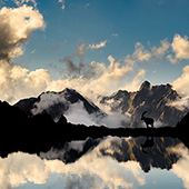 galleria/thumbs/Ibex_ic_9.jpg