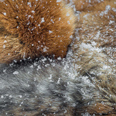 galleria/thumbs/Winter_ic_11.jpg