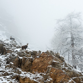 galleria/thumbs/Winter_ic_7.jpg