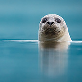 galleria/thumbs/iceland_13_ic.jpg