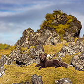 galleria/thumbs/iceland_20_ic.jpg
