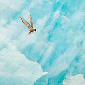 galleria/thumbs/iceland_7_ic.jpg